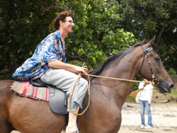 Matt Wilson, Owner of Epiphyte Bed & Breakfast