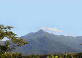 Thorntons Peak - Daintree Rainforest
